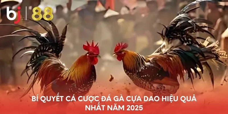 bi-quyet-ca-cuoc-da-ga-cua-dao-hieu-qua-nhat-nam-2025