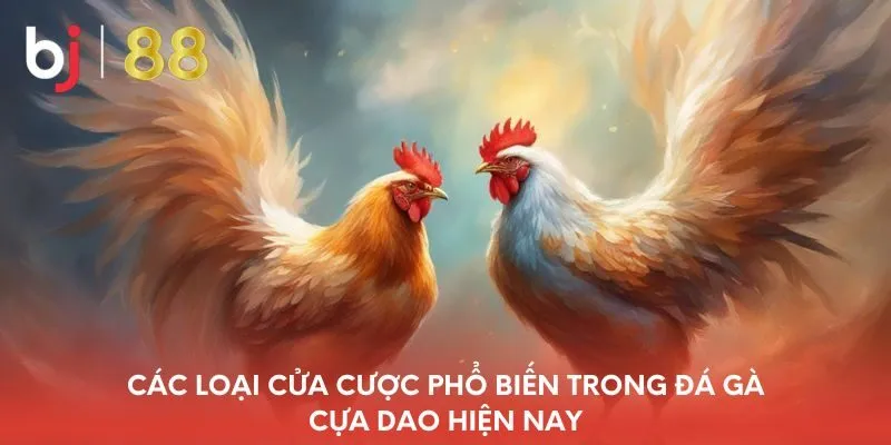 cac-loai-cua-cuoc-pho-bien-trong-da-ga-cua-dao-hien-nay