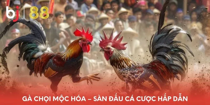 ga-choi-moc-hoa-san-dau-ca-cuoc-hap-dan