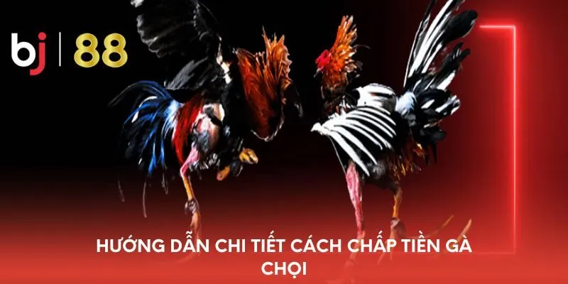 huong-dan-chi-tiet-cach-chap-tien-ga-choi