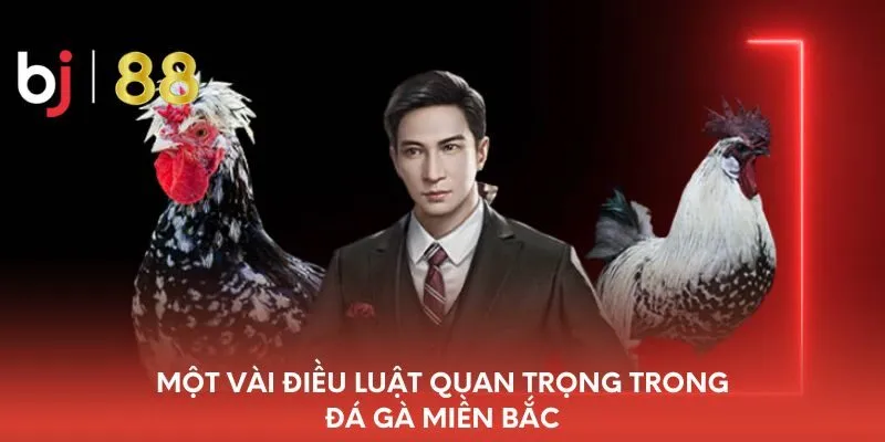 mot-vai-dieu-luat-quan-trong-trong-da-ga-mien-bac