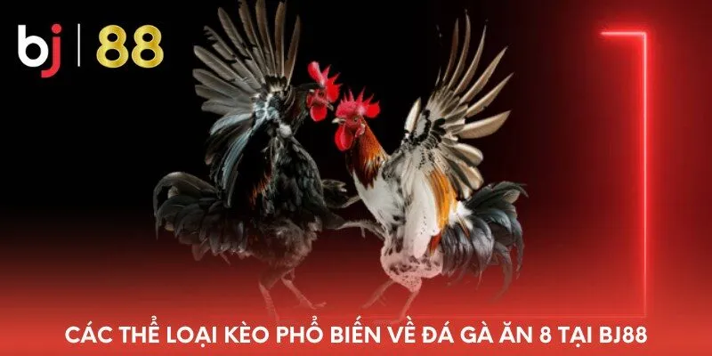 cac-the-loai-keo-pho-bien-ve-da-ga-an-8-tai-bj88