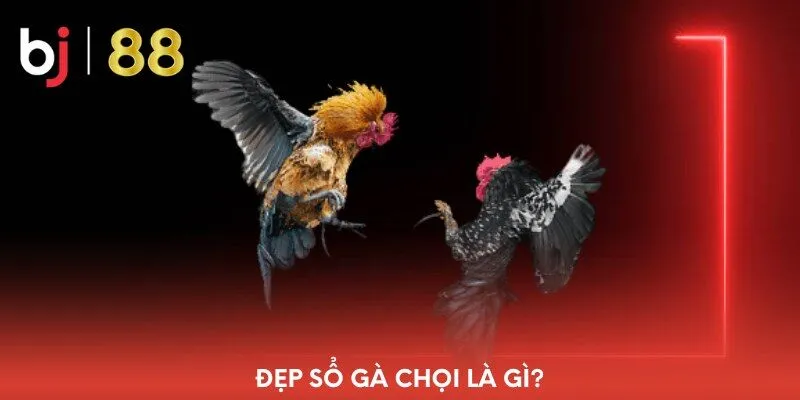 dep-so-ga-choi-la-gi