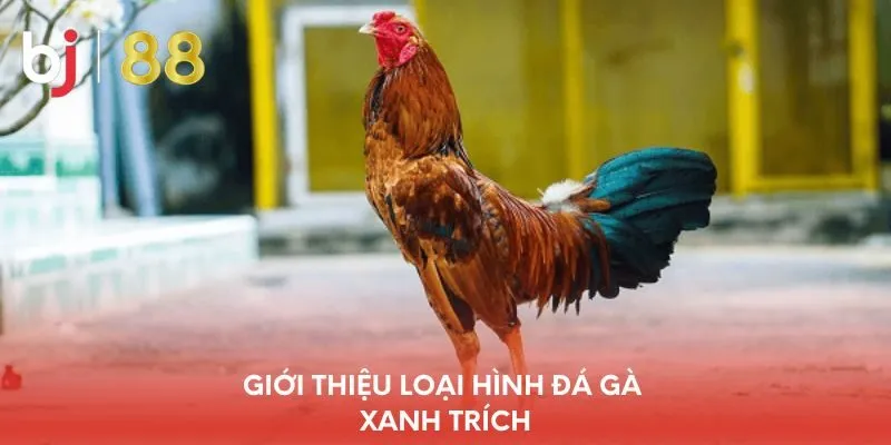 gioi-thieu-loai-hinh-da-ga-xanh-trich