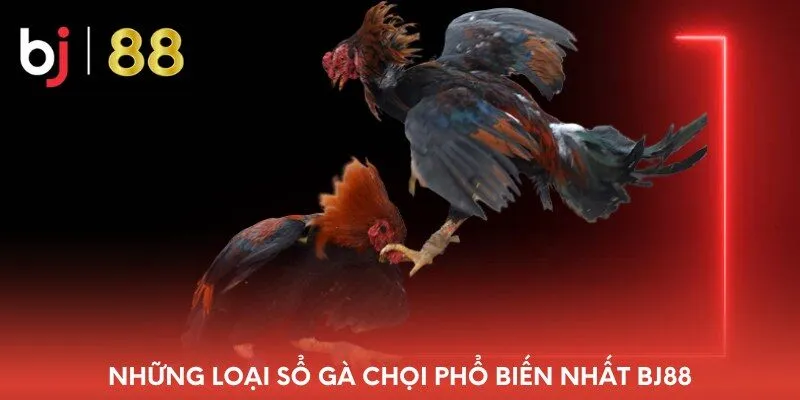 nhung-loai-so-ga-choi-pho-bien-nhat-bj88